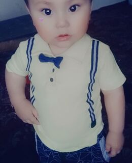 Samandar — фото 1